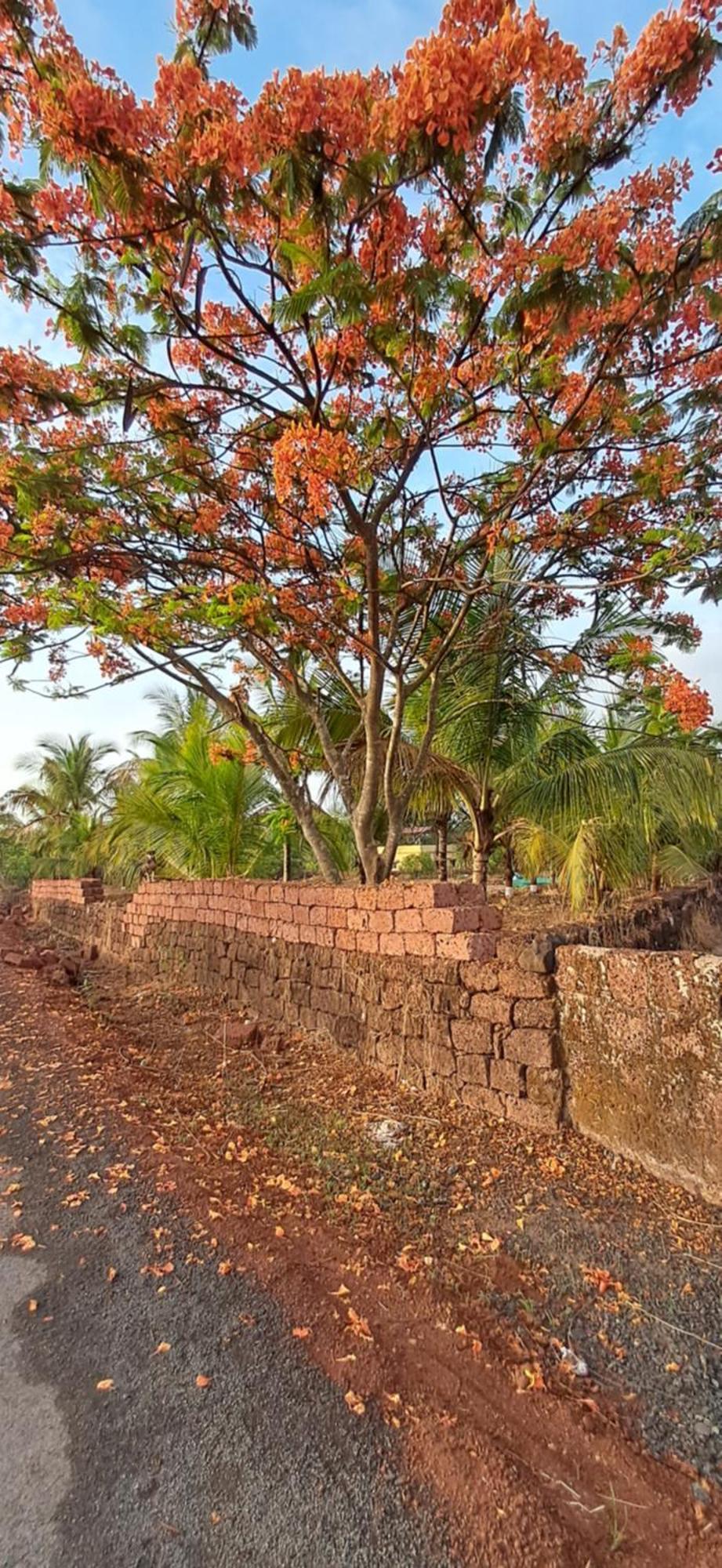 Arpita Farmstay Mālvan Exterior foto